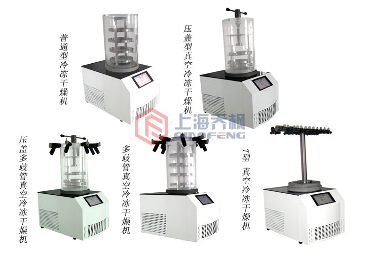 實驗型真空冷凍干燥機(jī)